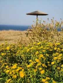 vivo X200 Ultra、アソート - 85mm、f/2.3、ISO 50、1/319s (3072x4080px) - News 25 12 My Top 5 Ivanレビュー