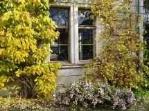 vivo X200 Ultra、アソート - 35mm、f/1.7、ISO 71、1/858秒（4096x3072ピクセル） - ニュース 25 12 私のトップ5 Ivanレビュー