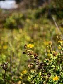 vivo X200 Ultra、アソート - 85mm、f/2.3、ISO 101、1/1299s (3072x4080px) - News 25 12 My Top 5 Ivanレビュー