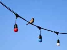 vivo X200 Ultra、アソート - 135mm、f/2.3、ISO 50、1/319s (4080x3072px) - News 25 12 My Top 5 Ivanレビュー